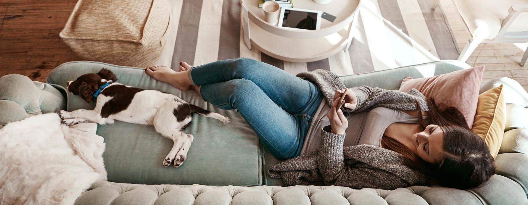 overhead view of  a woman texting as she lies on a couch with a dog at her feet