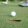 golf ball going into the hole